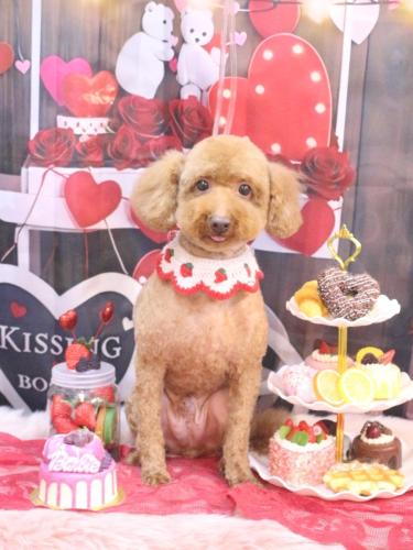 20250223ジョニーくん